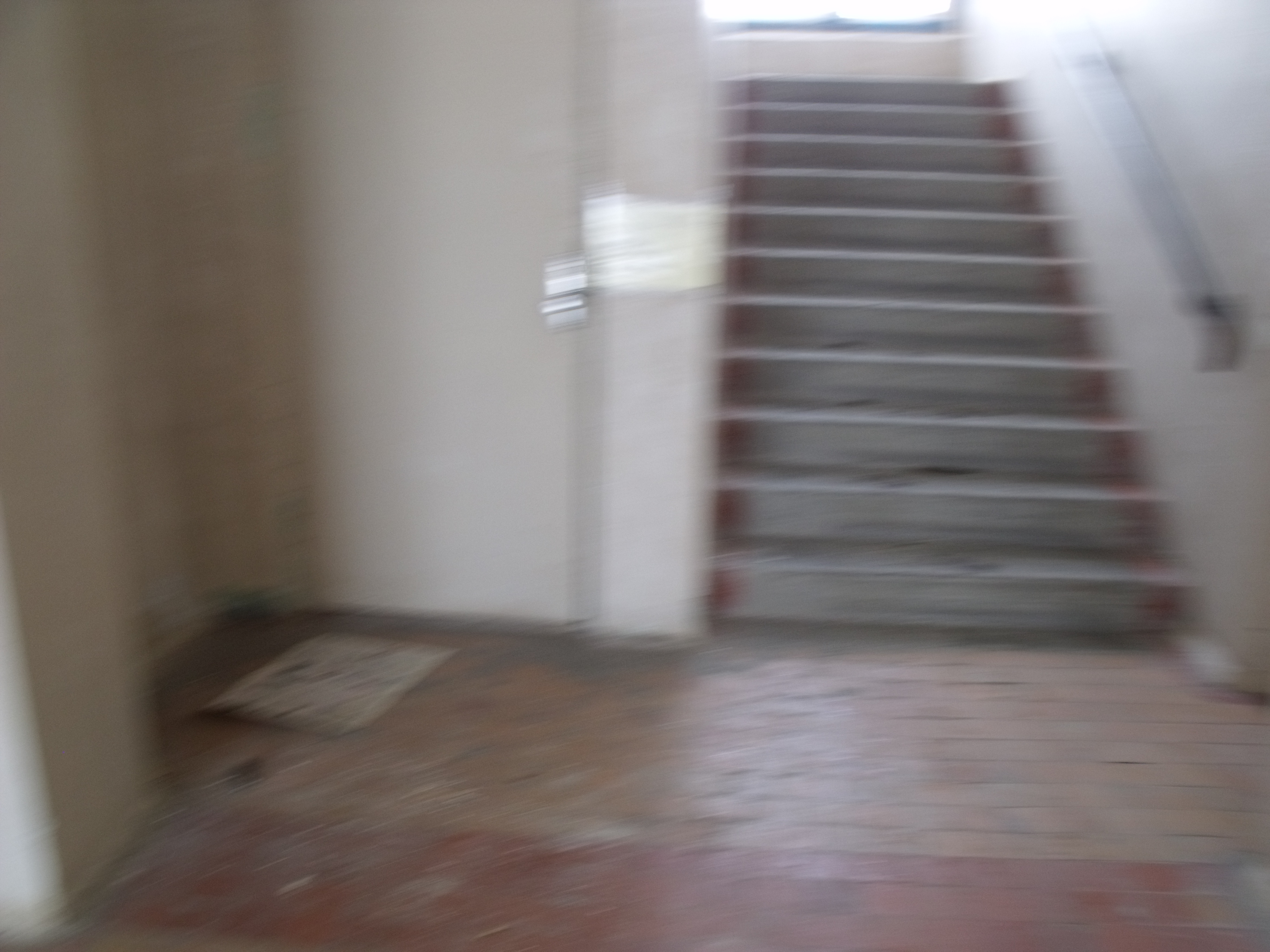 DSCF8436